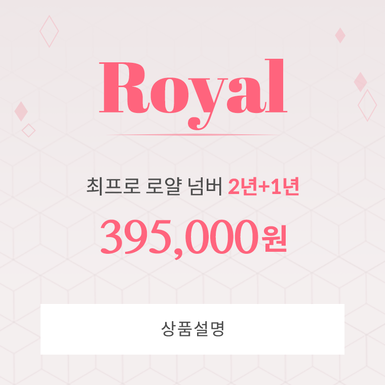 상품설명